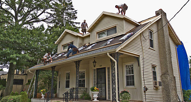Best Storm Damage Roof Repair  in Front Royal, VA